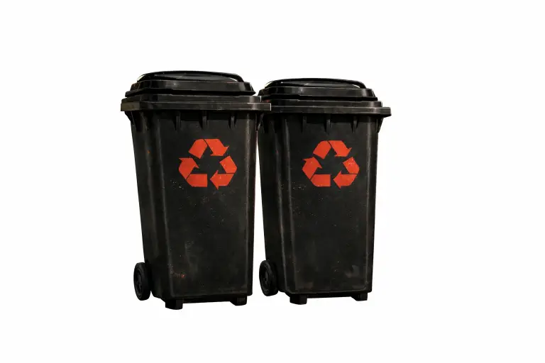 Taylor's Wheelie Cleans