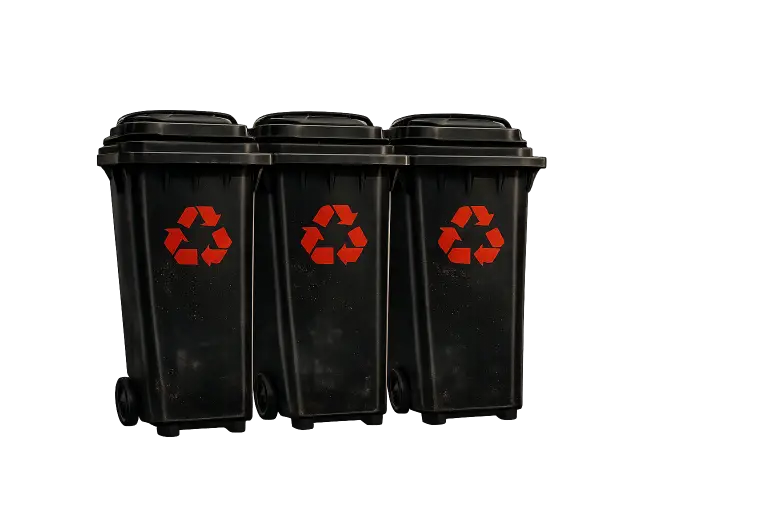 Taylor's Wheelie Cleans